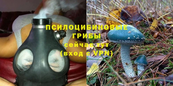 мет Горнозаводск