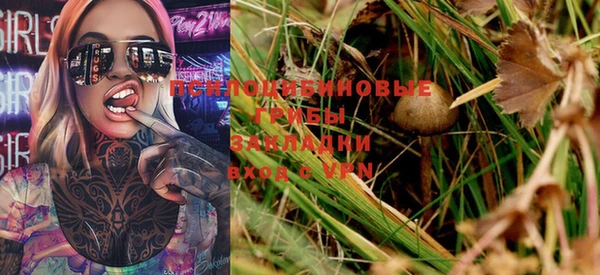 спиды Горняк