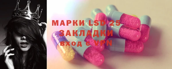 спиды Горняк