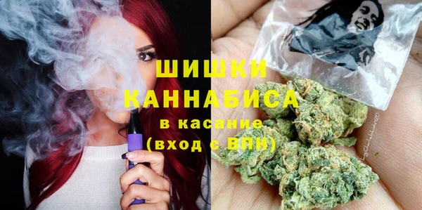 мдпв Горно-Алтайск