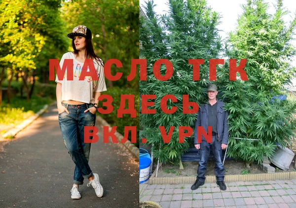 2c-b Гусев