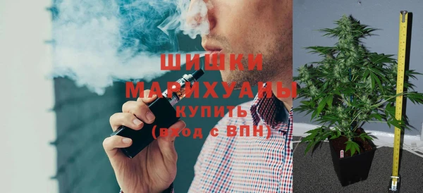 мдпв Горно-Алтайск