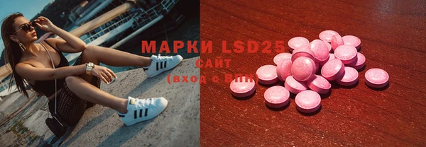 спиды Горняк