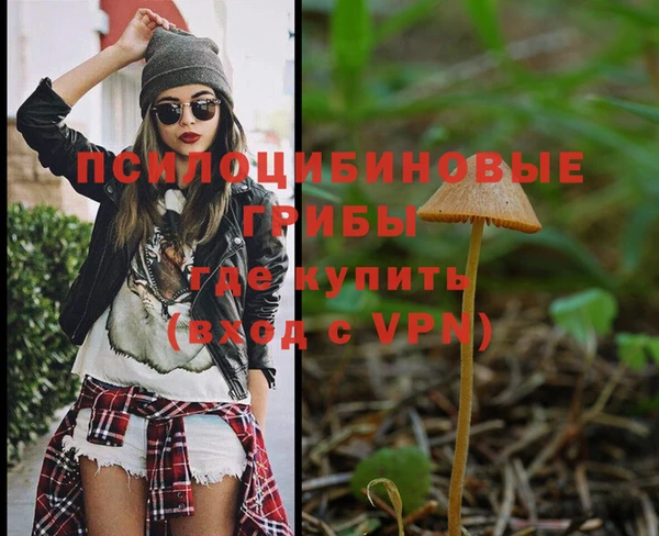 метадон Гусиноозёрск