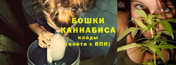 метадон Гусиноозёрск