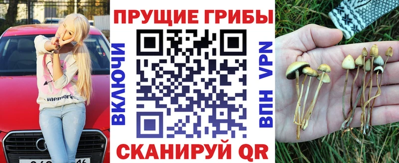 Галлюциногенные грибы мухоморы  shop наркотические препараты  Нефтекамск 